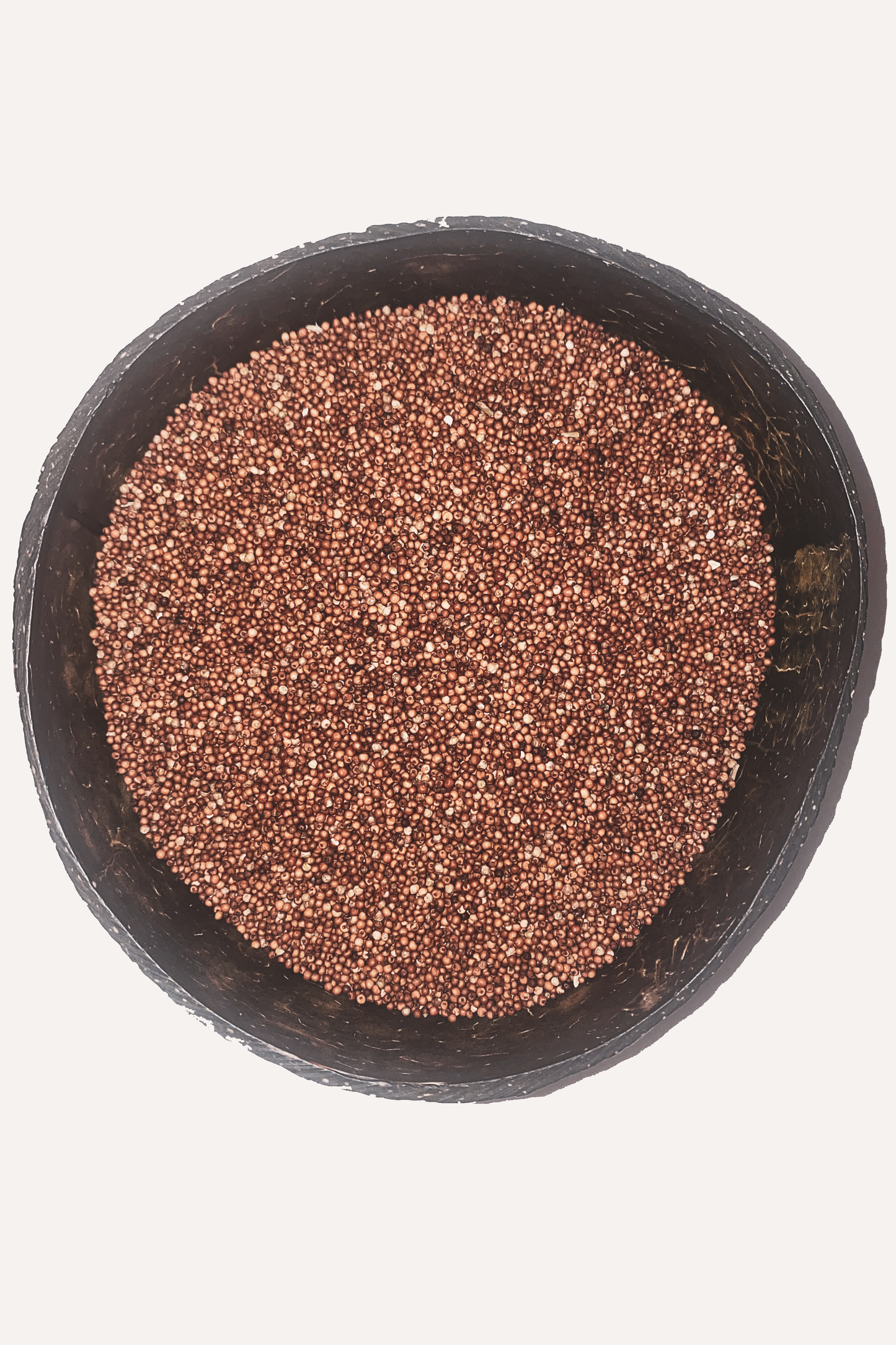 Ragi (Red Finger Millet) – Ancient Grain of Vitality