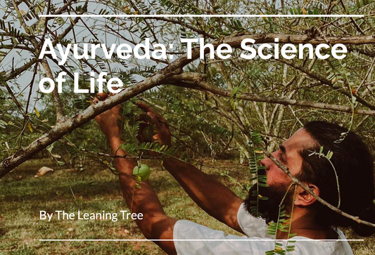 amla tree farm, person interacting with nature, pdf book download, india the leaning tree apothecary.